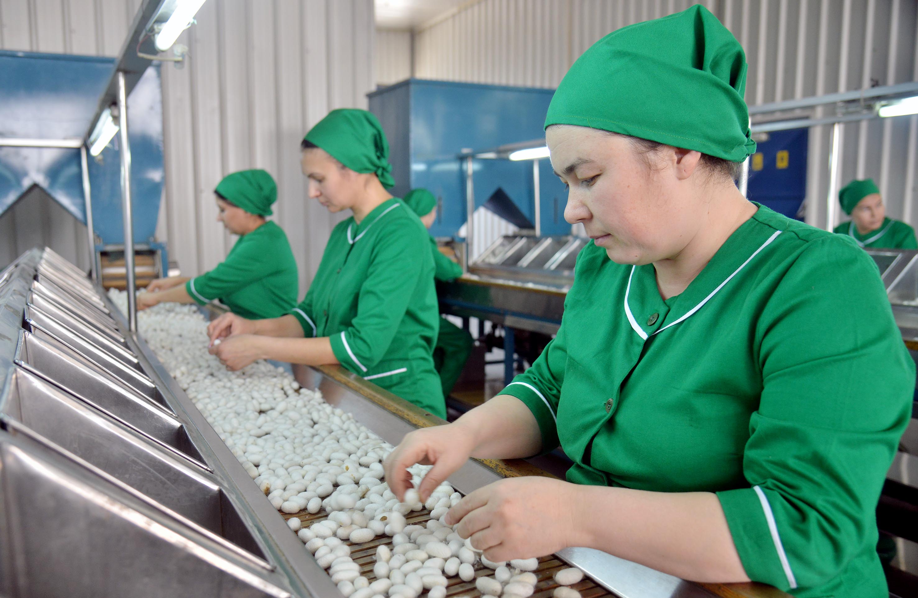 Silk winding production association: work raised to the level of art