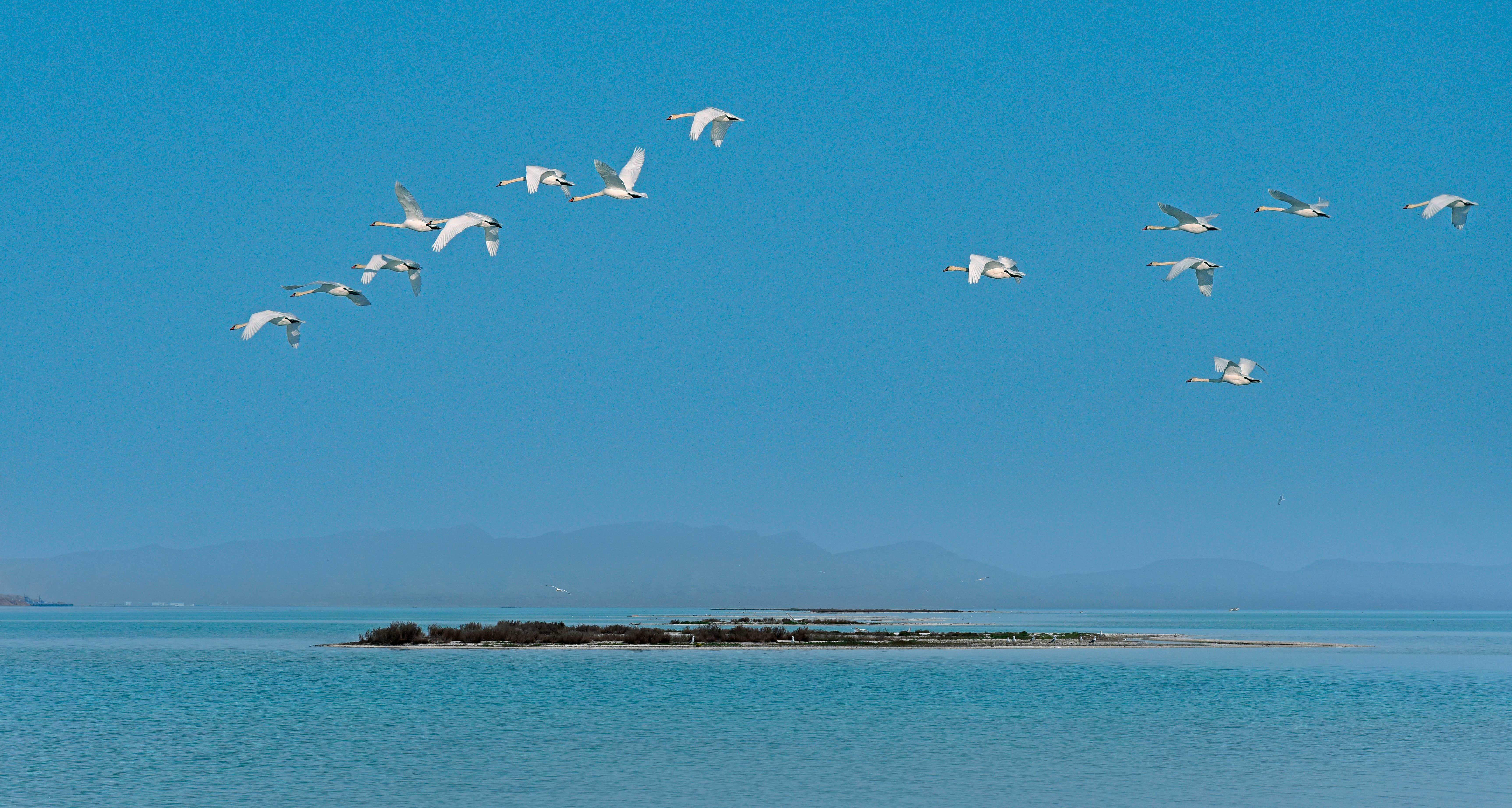 Ecological culture of the Caspian