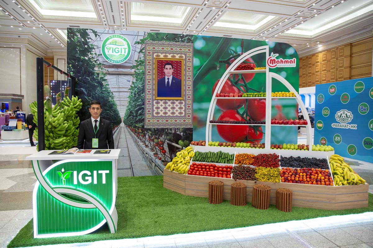 The exhibition of economic achievements of the country opened in the capital