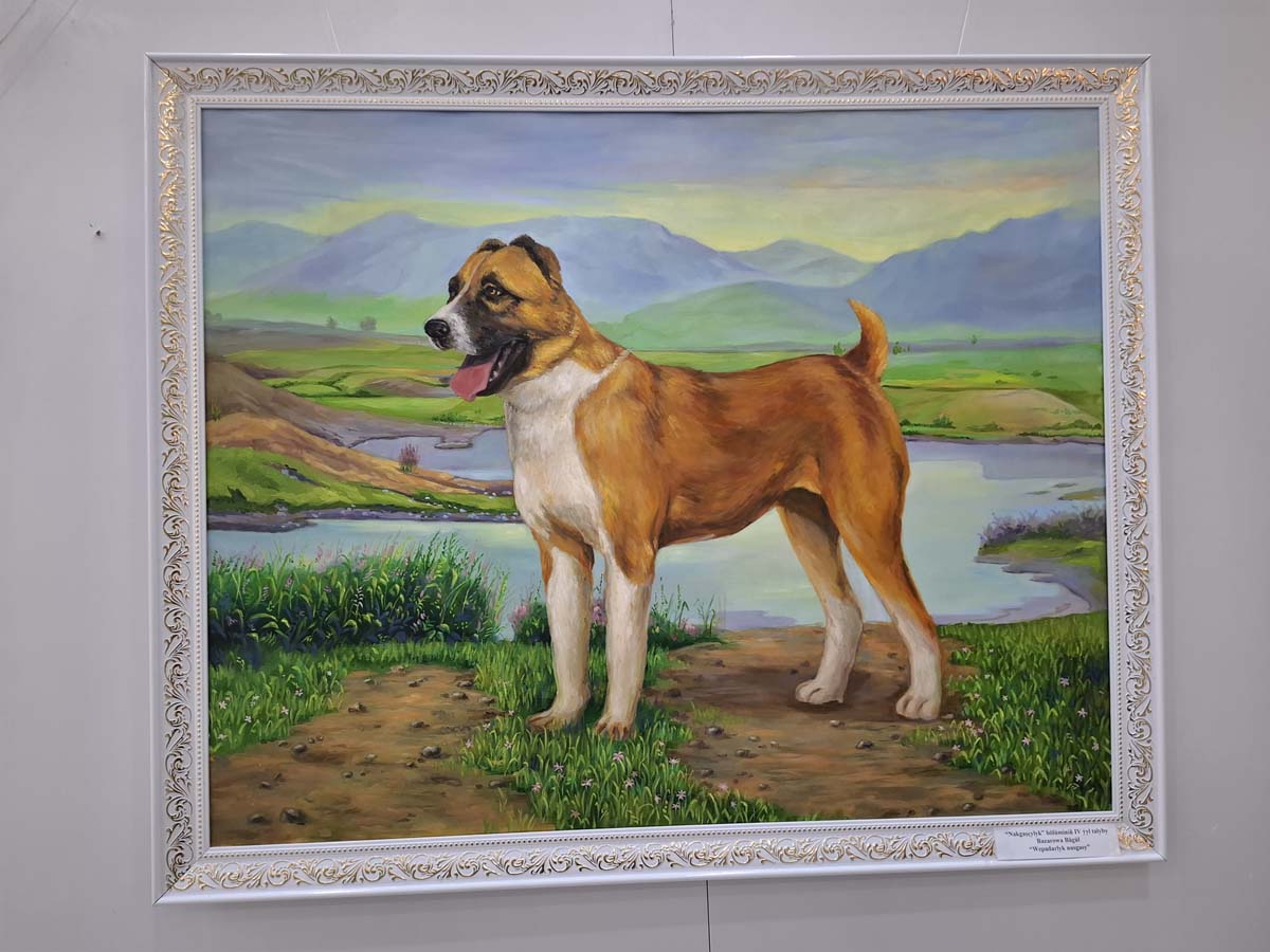 В Лебапском велаяте проводятся мероприятия в честь Дня туркменского алабая