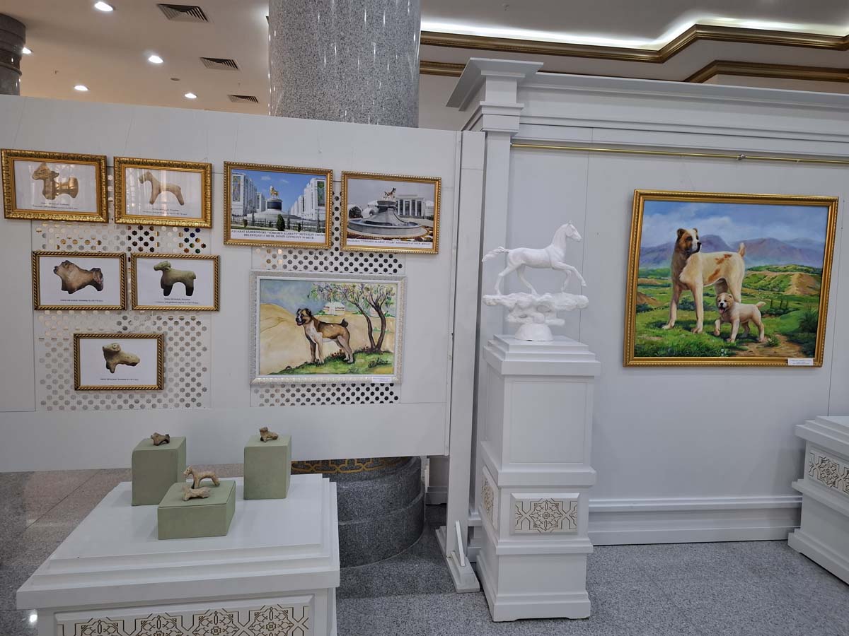 В Лебапском велаяте проводятся мероприятия в честь Дня туркменского алабая