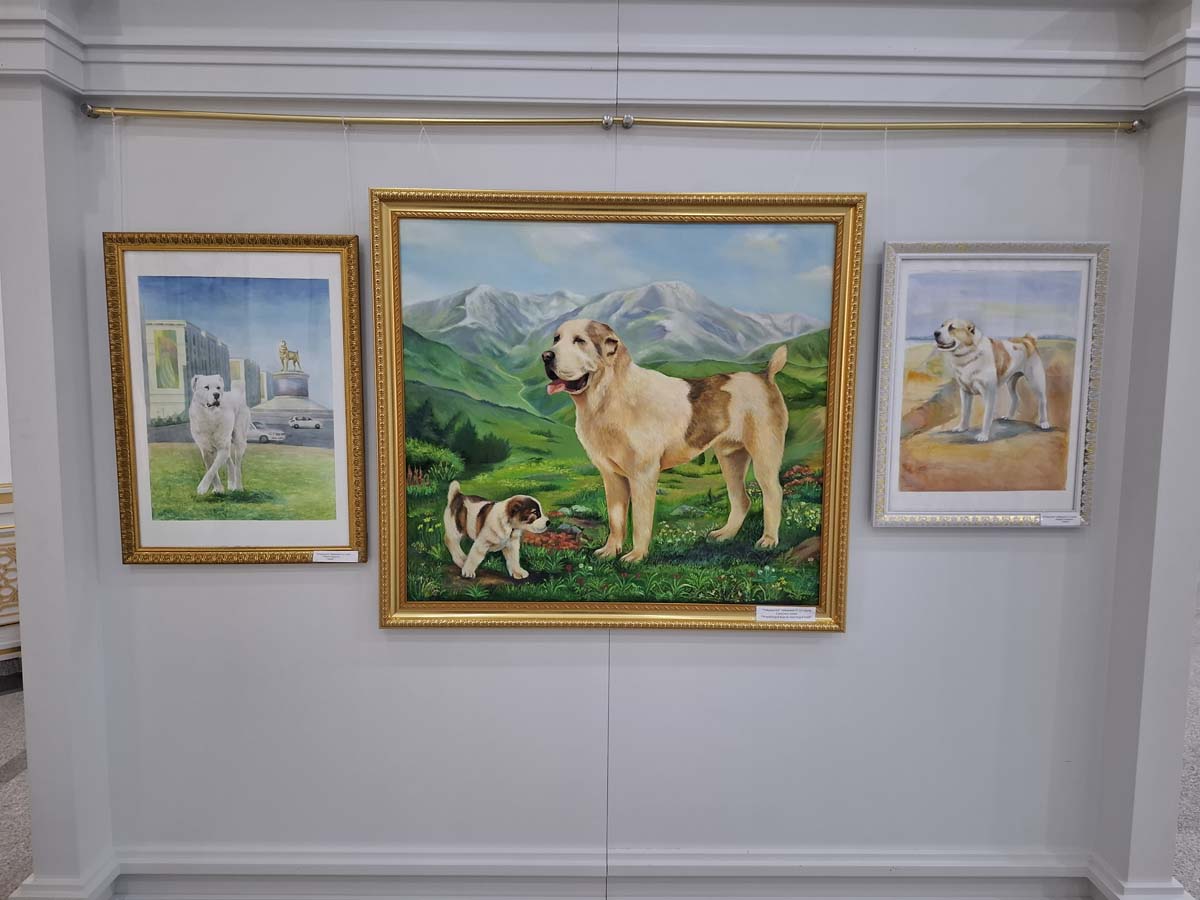 В Лебапском велаяте проводятся мероприятия в честь Дня туркменского алабая