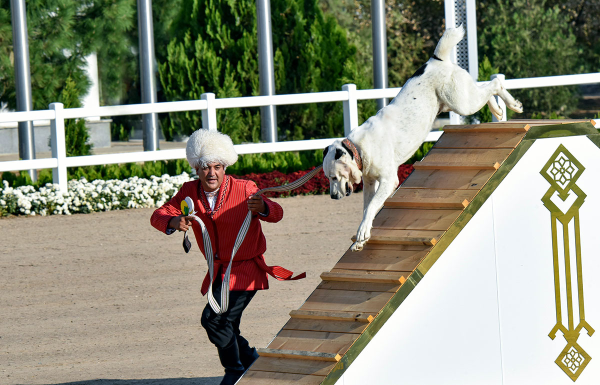 В Туркменистане отмечен Праздник туркменского алабая