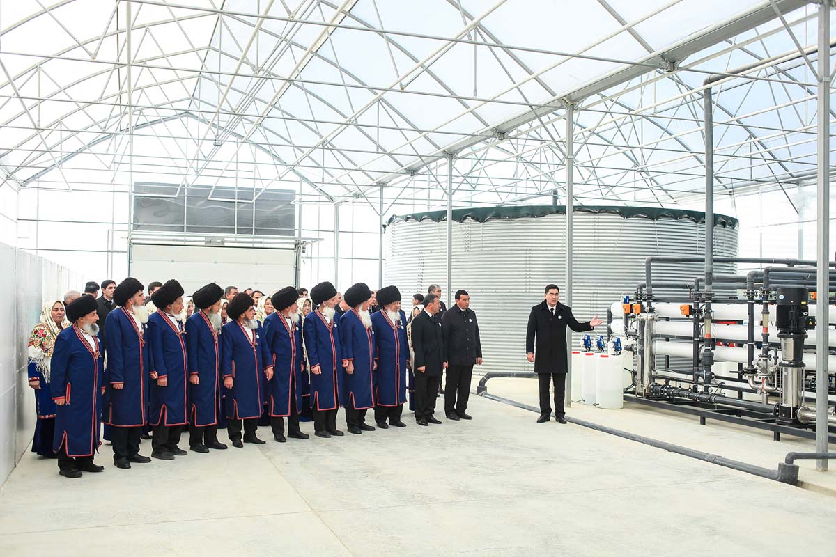 Modern greenhouse commissioned in Balkan velayat