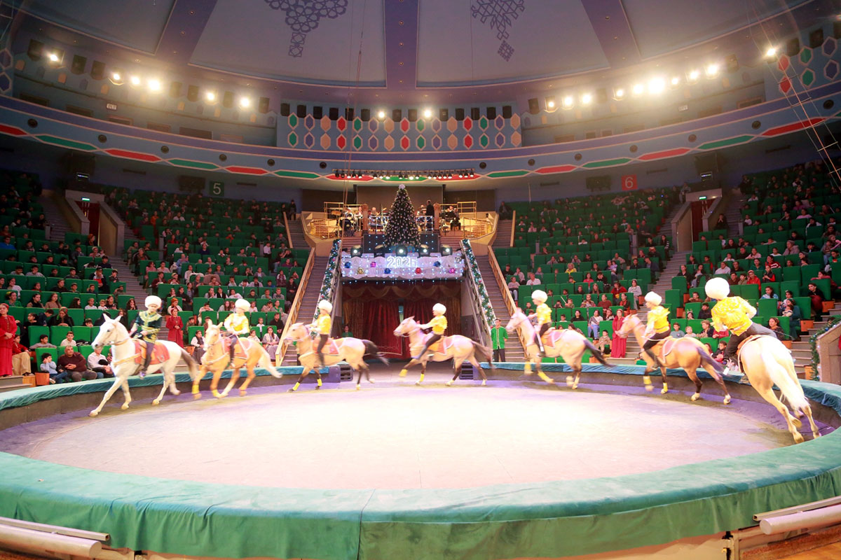 Новогоднее цирковое представление «Крылатые скакуны»