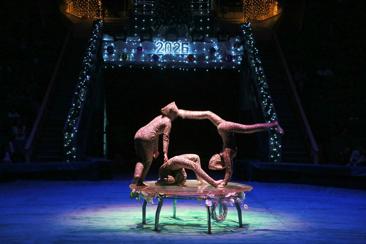 Новогоднее цирковое представление «Крылатые скакуны»