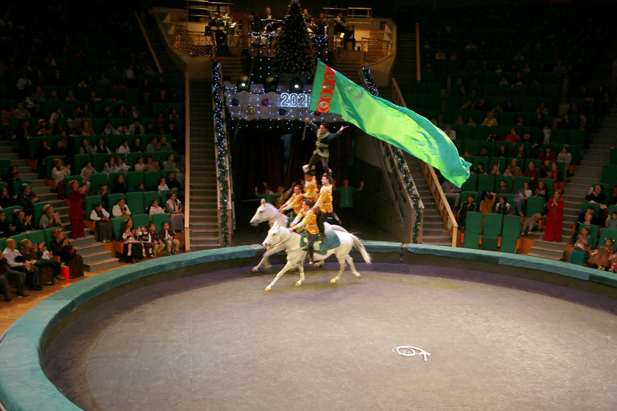 Новогоднее цирковое представление «Крылатые скакуны»