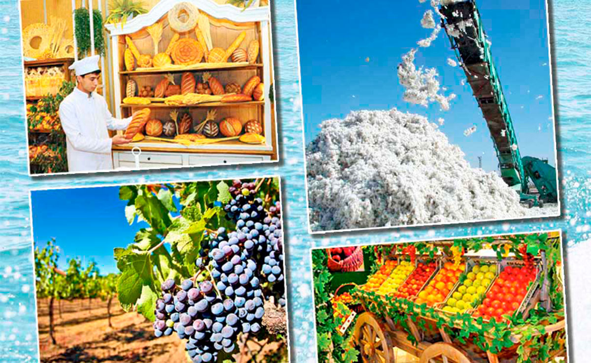 Türkmenistanyň Prezidenti obasenagat toplumynda hasaplaşyklary öz wagtynda geçirmek boýunça wezipeleri goýdy