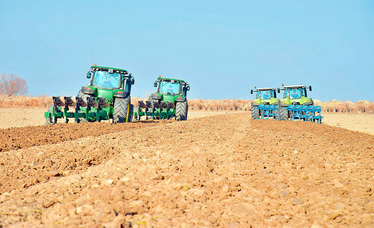 Ýurdumyzyň obasenagat toplumyny ösdürmegiň ileri tutulýan ugurlary kesgitlenildi