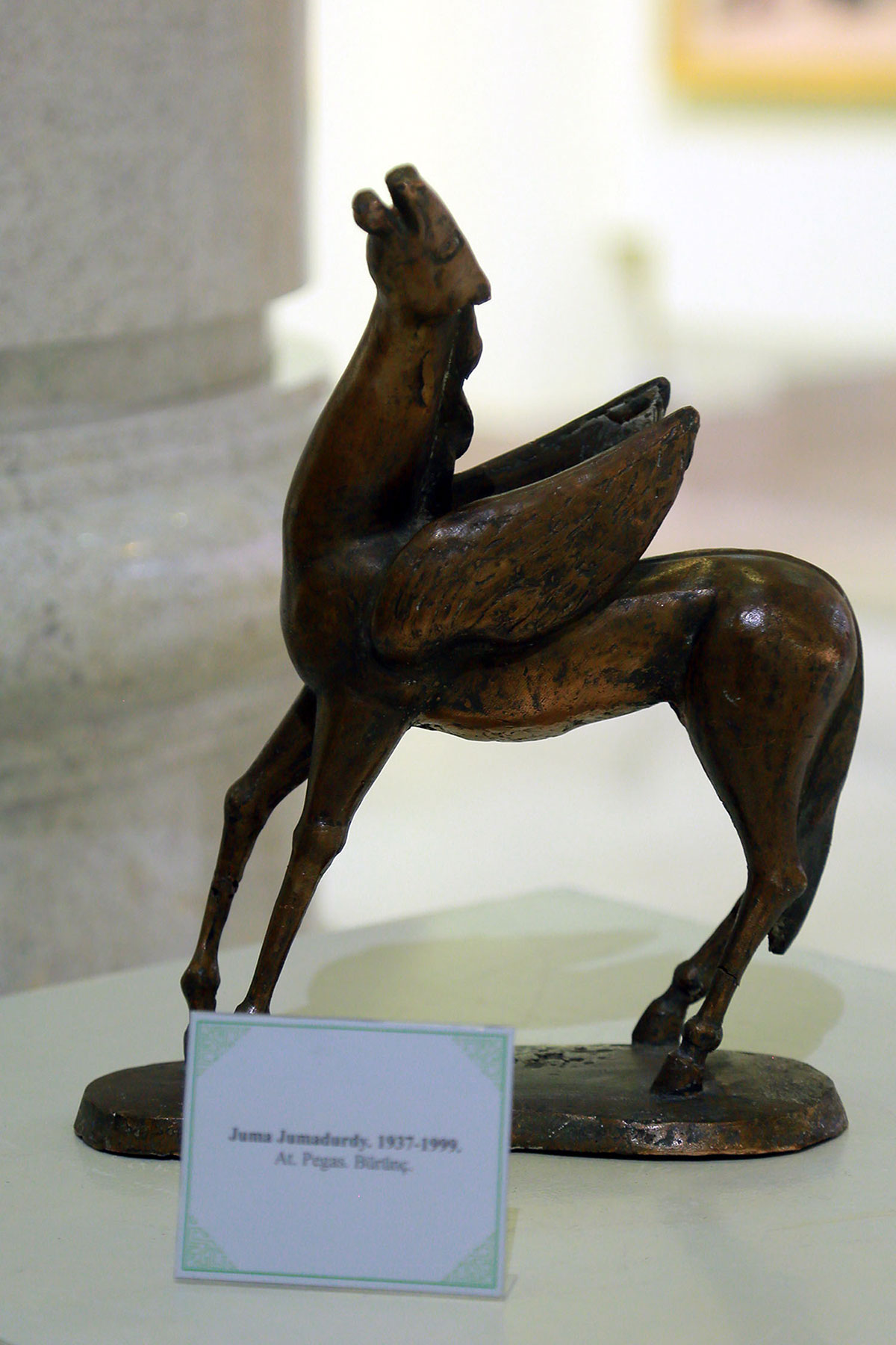 Два независимых взгляда на красоту ахалтекинского скакуна