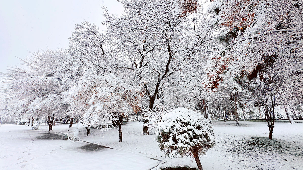 Заснеженный Ашхабад укутался в зимнюю шаль