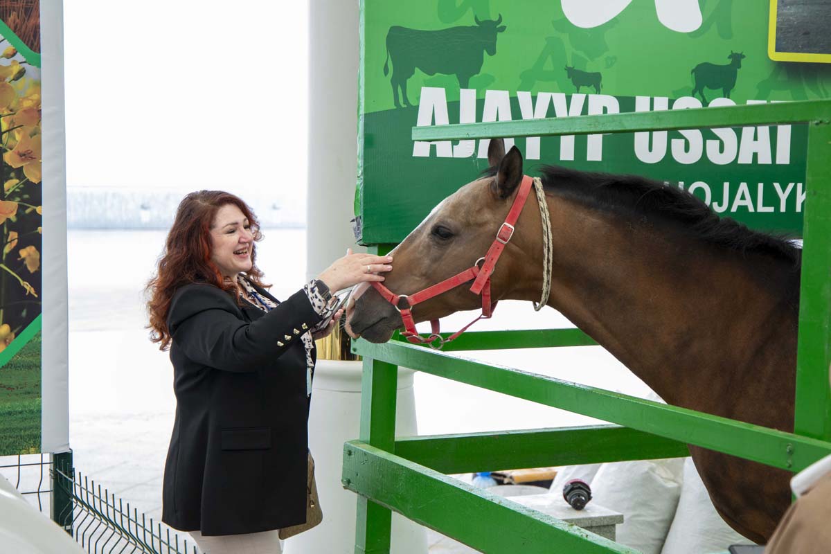 Aşgabatda hususy pudagyň gazananlarynyň sergisi geçirilýär