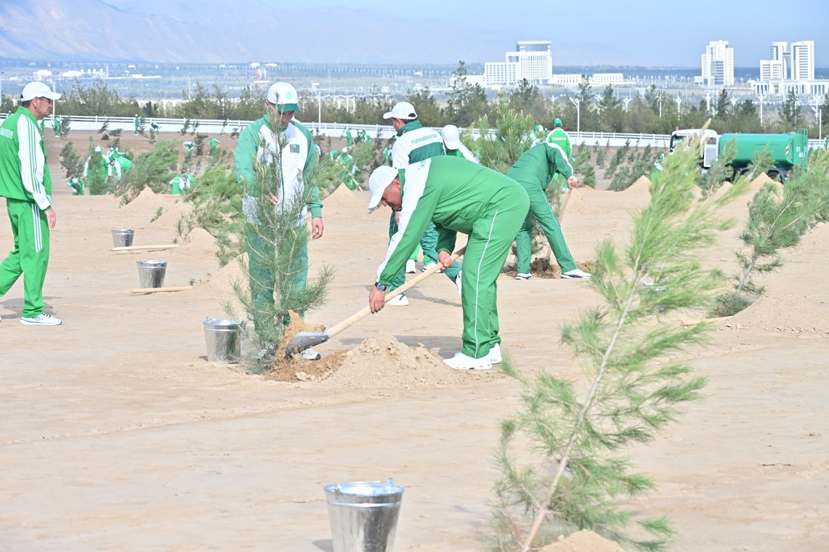 Президент Сердар Бердымухамедов принял участие во всенародной озеленительной акции