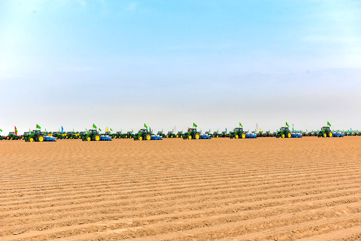 Ýurdumyzda gowaça ekişine badalga berildi