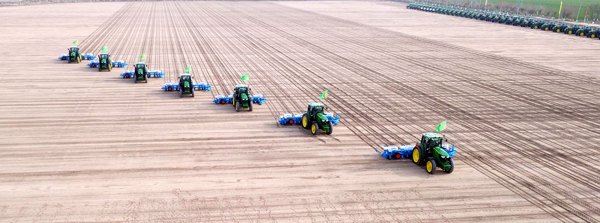 Ýurdumyzda gowaça ekişine badalga berildi