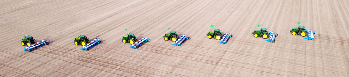 Ýurdumyzda gowaça ekişine badalga berildi