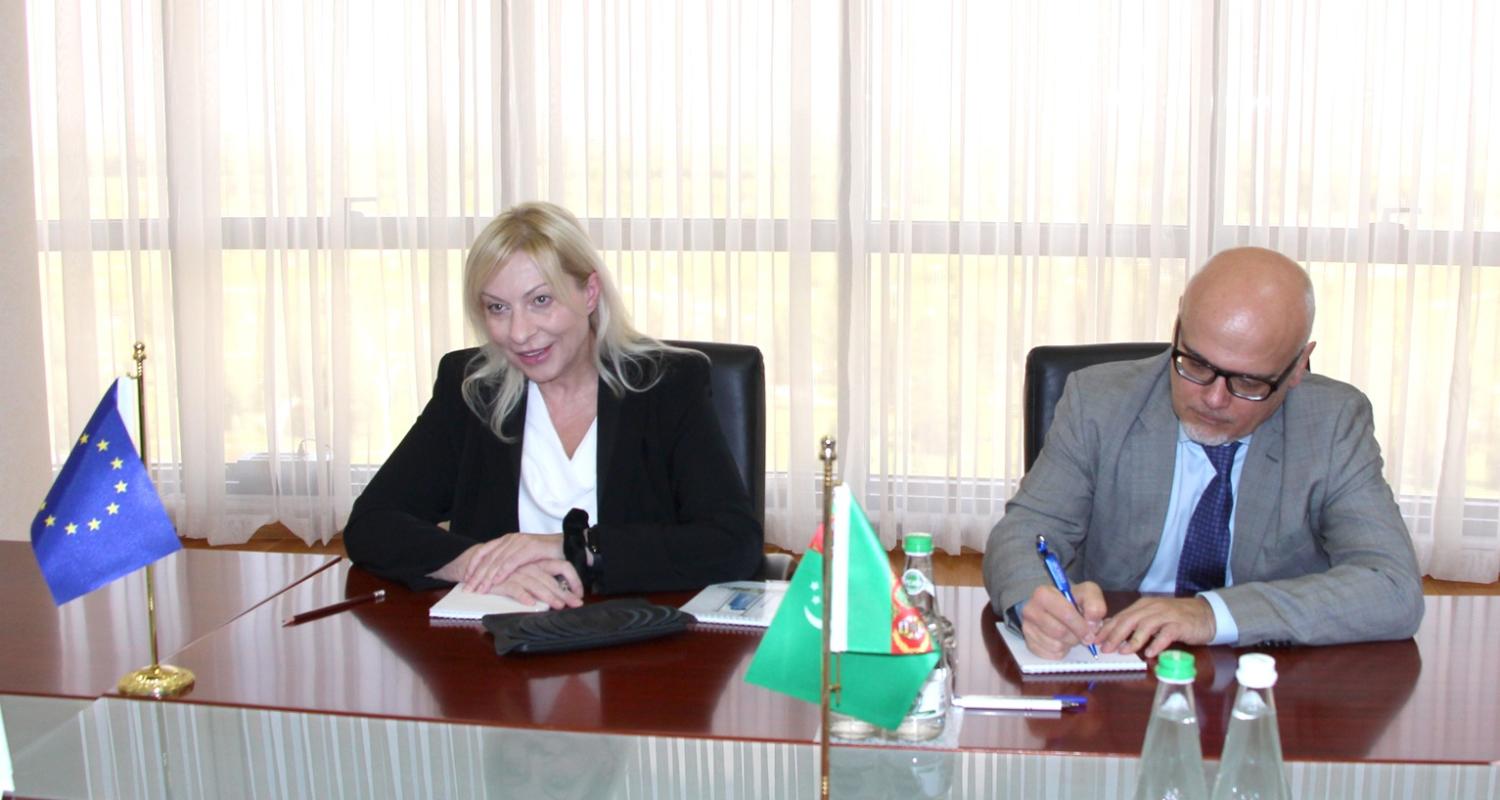 Ýewropa Bileleşiginiň Türkmenistandaky Ilçisi bilen duşuşyk geçirildi