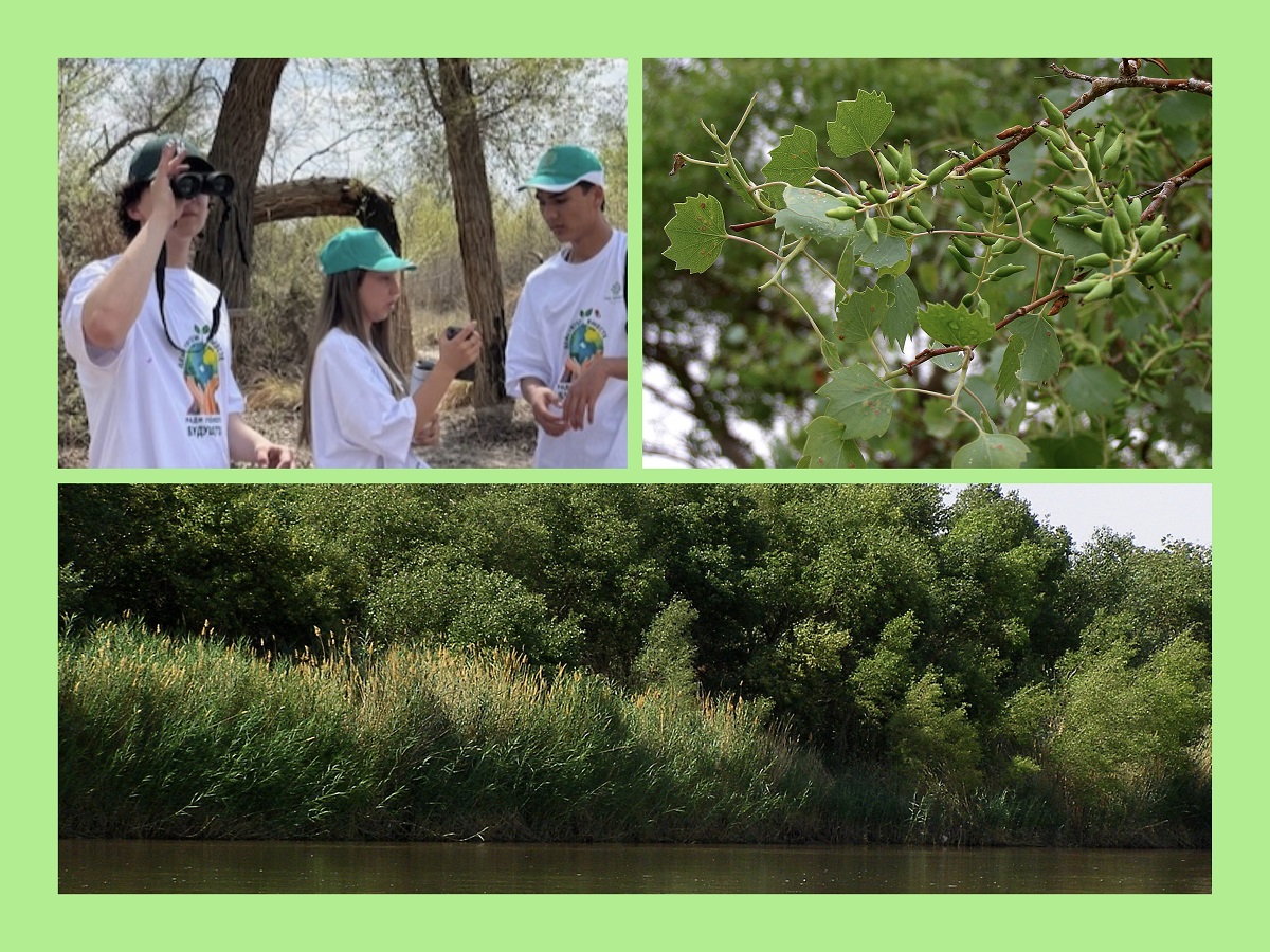 Amyderýa döwlet tebigy goraghanasynda eko-syýahat guraldy