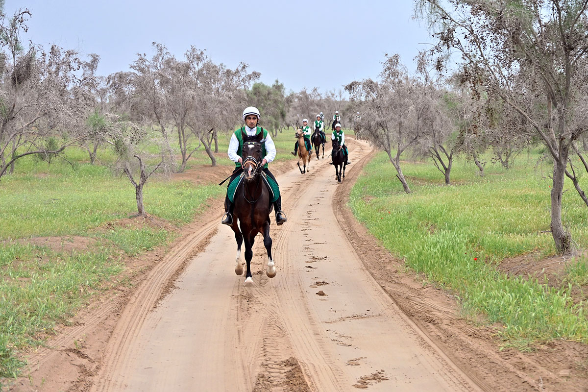 Ýurdumyzda uzak aralyga atly ýöriş bäsleşigi geçirildi