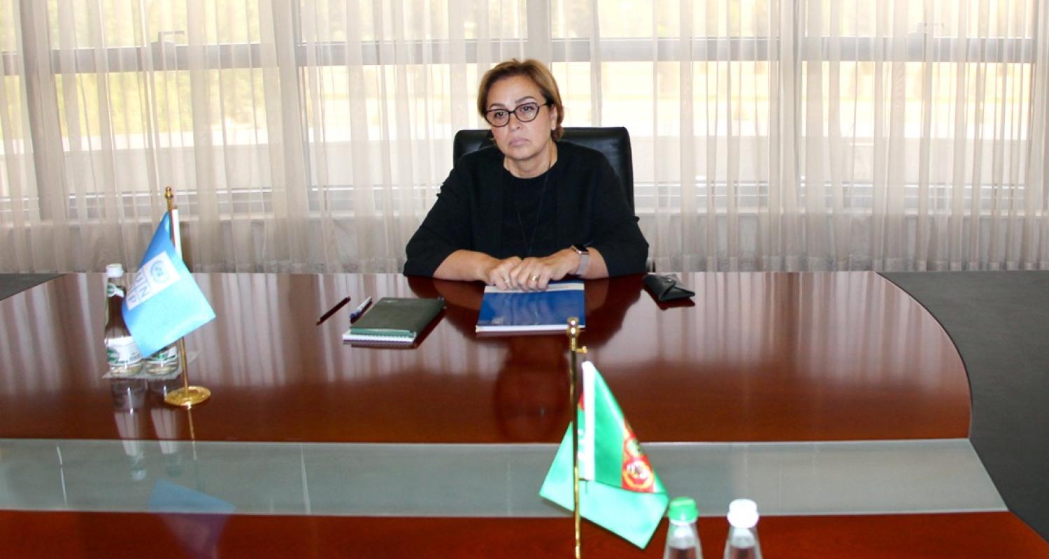 Issues of further cooperation between Turkmenistan and United Nations Development Programme discussed