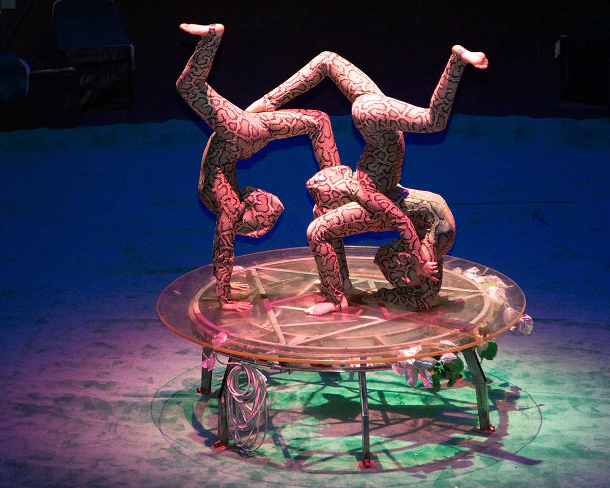 A New Circus Show – A Celebration for Fans of This Art Form