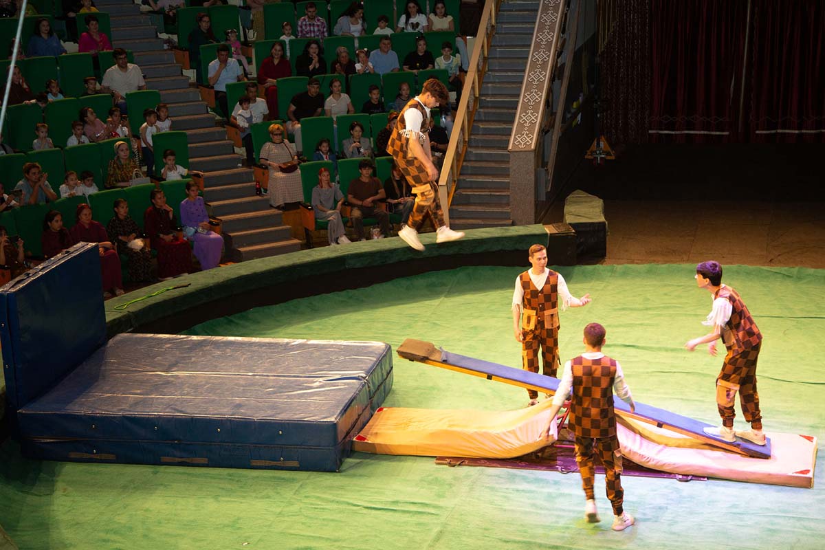 A New Circus Show – A Celebration for Fans of This Art Form
