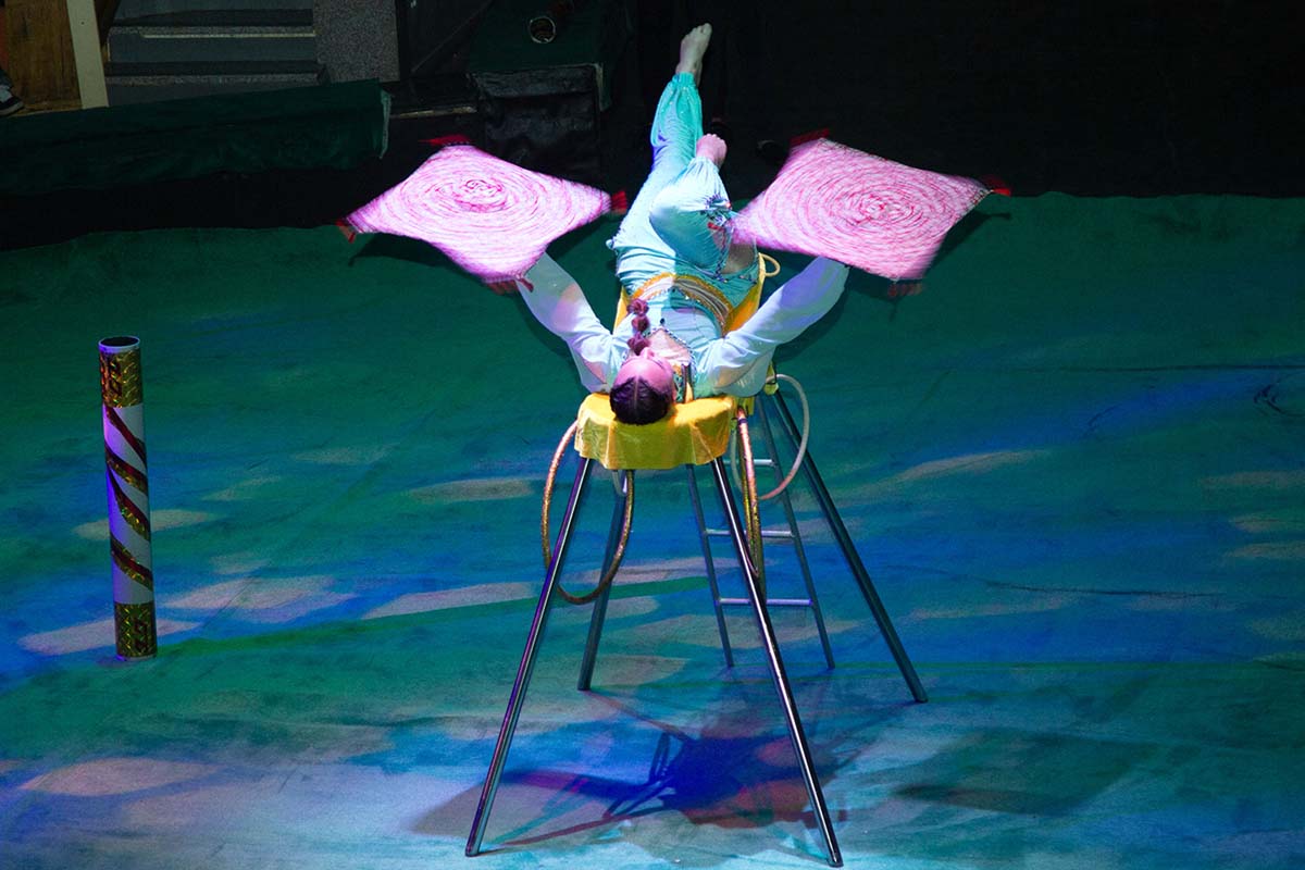 A New Circus Show – A Celebration for Fans of This Art Form