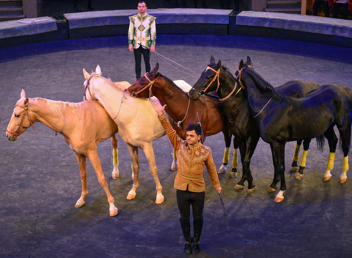 A New Circus Show – A Celebration for Fans of This Art Form