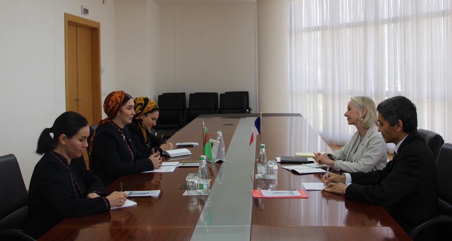 Meeting at the Ministry of Foreign Affairs of Turkmenistan with the representative of the College of Intelligence in Europe