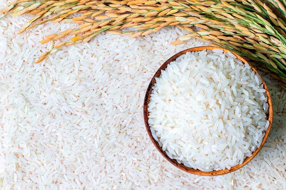 Dashoguz Velayat’s Rice Growers Aim for a Bountiful Harvest This Year