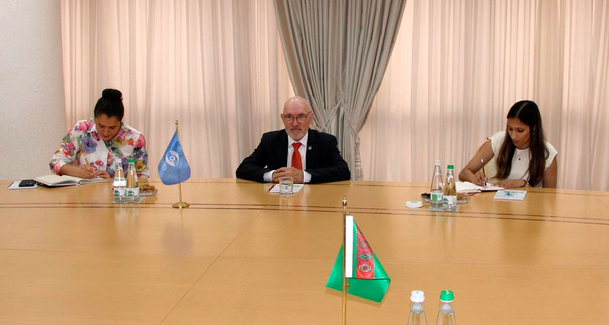 Meeting Held Between the Minister of Foreign Affairs of Turkmenistan and the Executive Secretary of the CTBTO