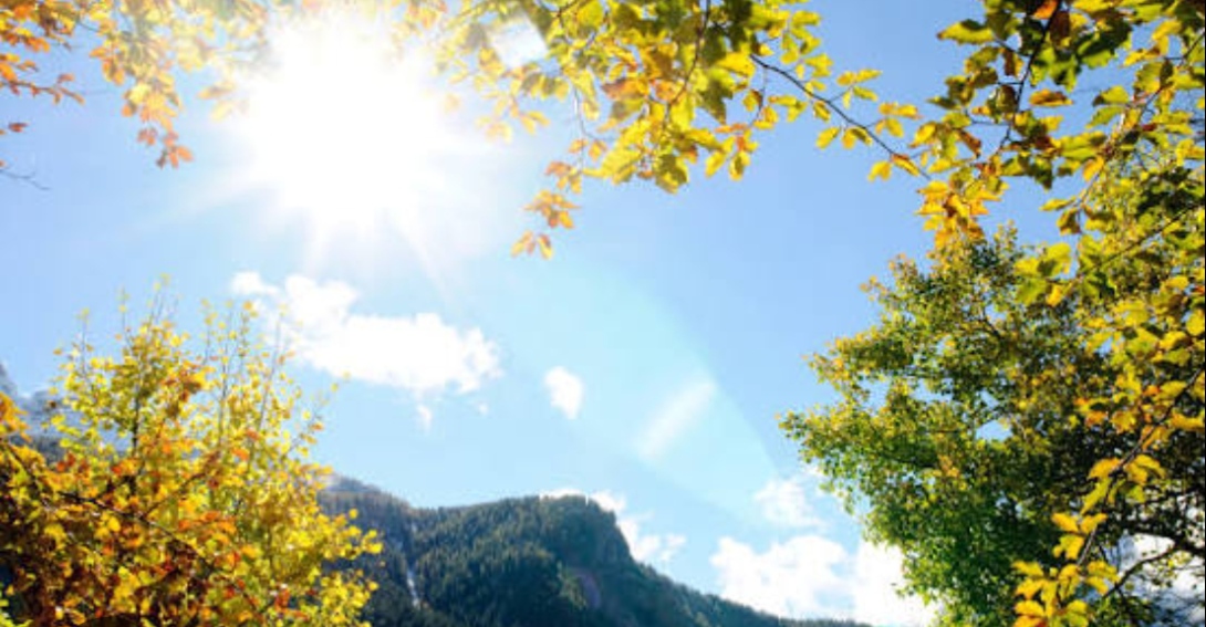 Insolation energy – from the rhythms of human health to the biotechnologies of the future