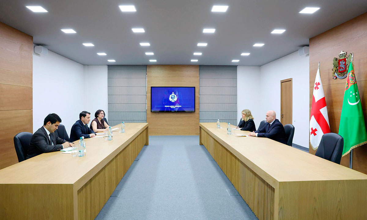 Türkmenistanyň Gruziýadaky Ilçisiniň Gruziýanyň Içeri işler ministri bilen duşuşygy