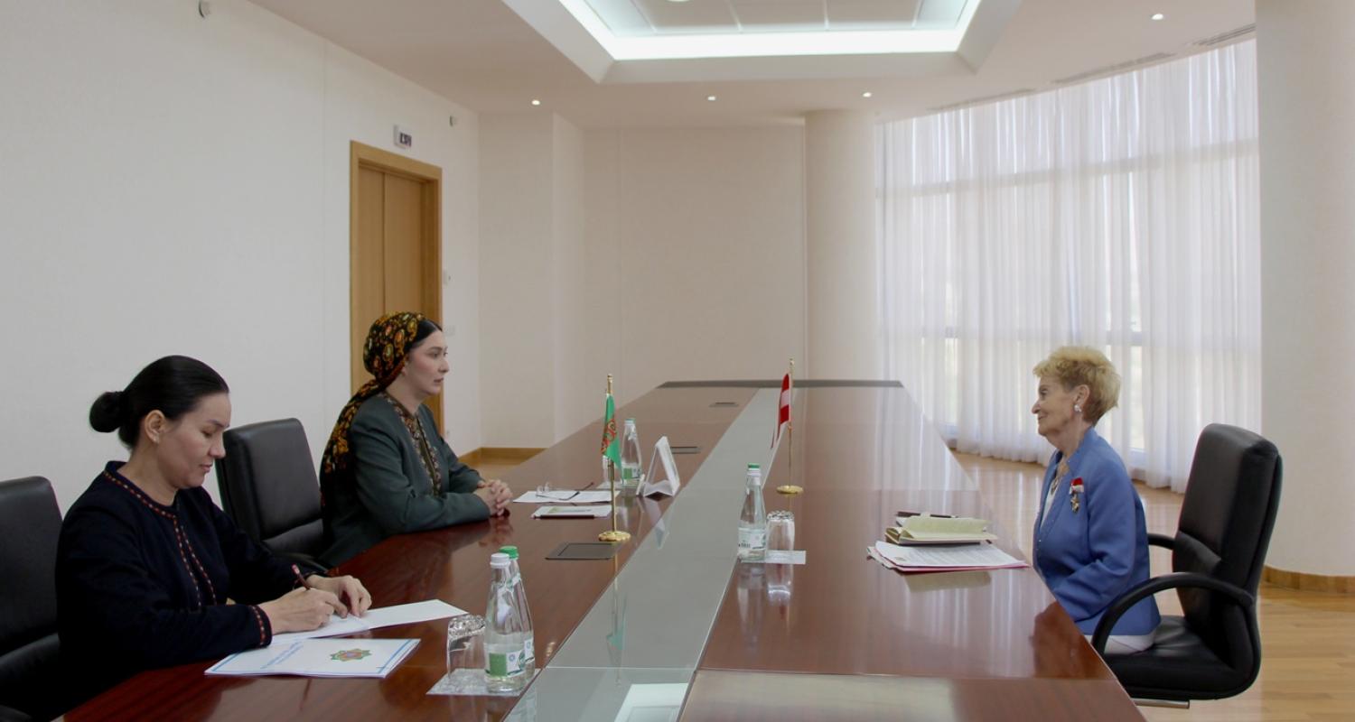 Meeting of the Deputy Minister of Foreign Affairs of Turkmenistan with the Head of the Austrian-Turkmen Society