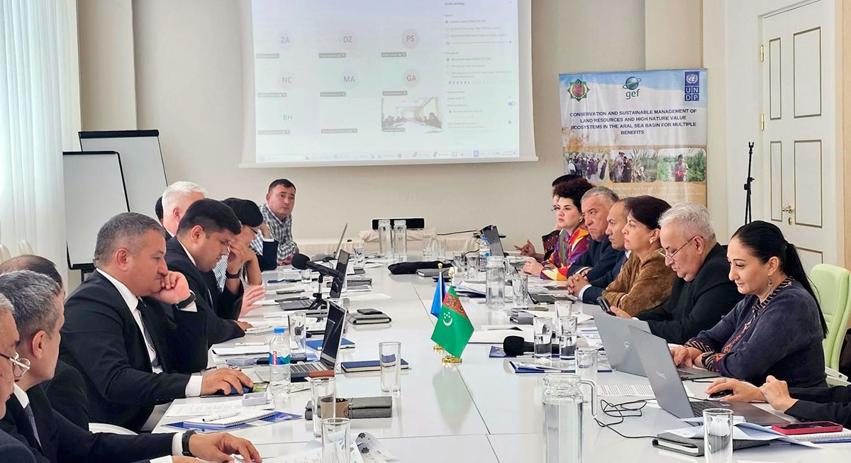 Second Regional Consultative Meeting on the Development and Definition of a Mechanism for Implementing the UN Special Program for the Aral Sea Basin was held