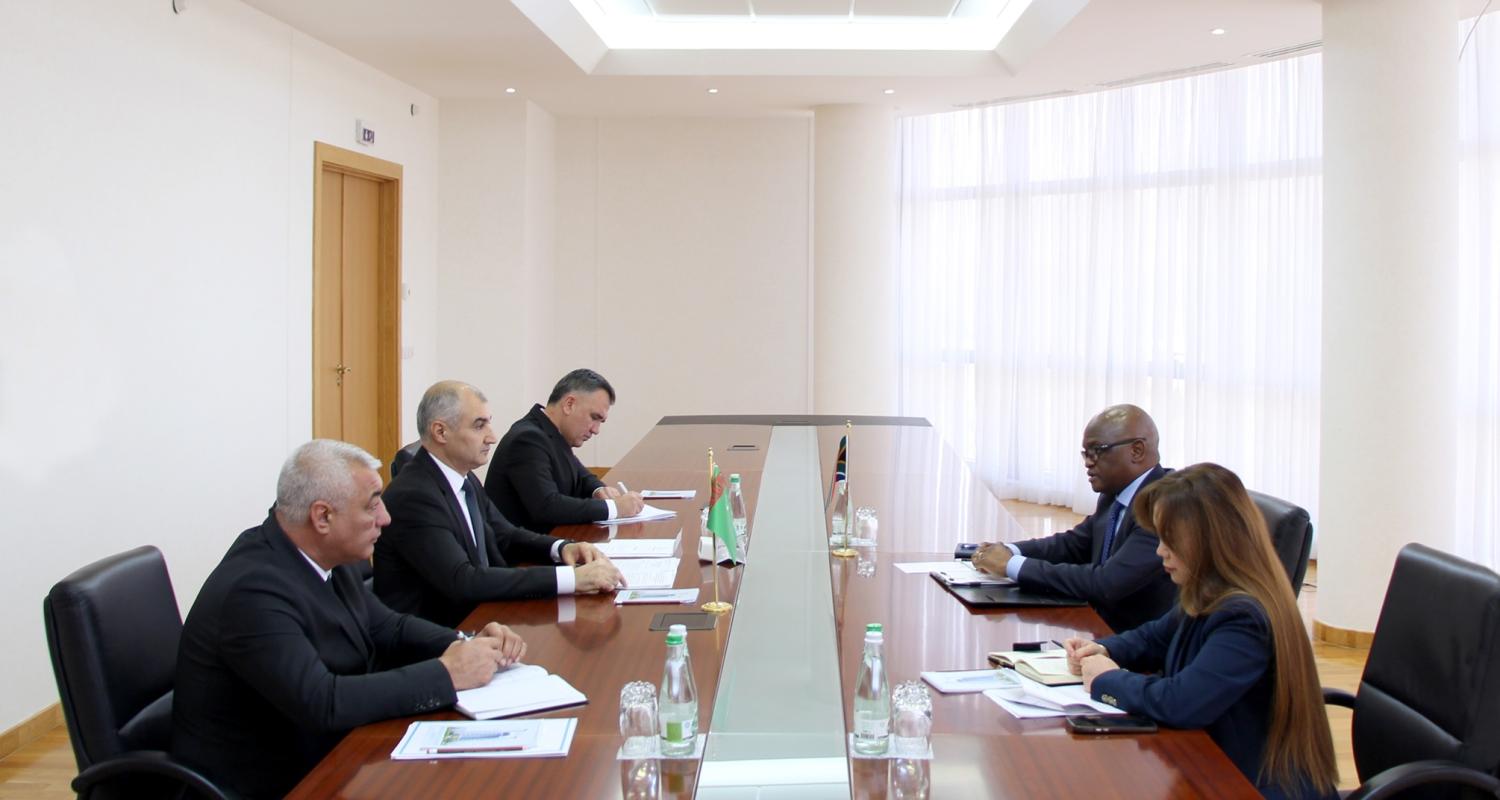 Türkmenistanyň Daşary işler ministriniň orunbasarynyň Günorta Afrika Respublikasynyň täze bellenen Ilçisi bilen duşuşygy