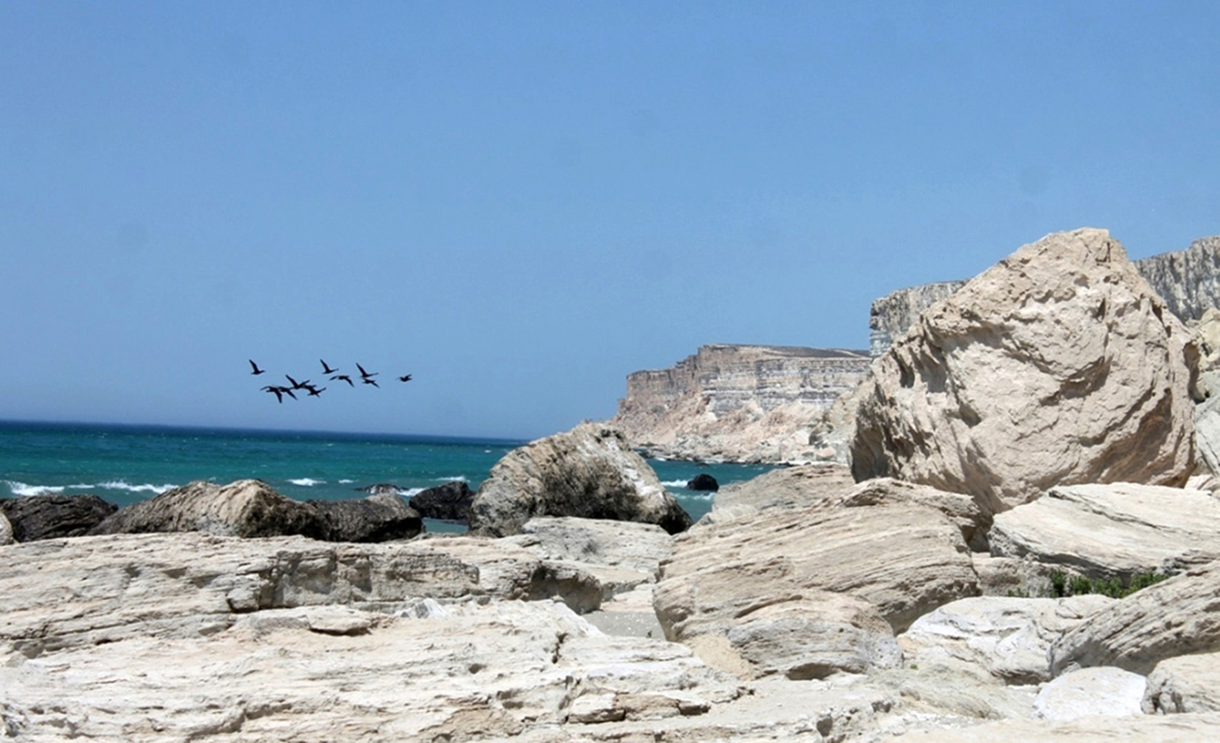 Рамсарская Конвенция − полвека международного сотрудничества во имя  сохранения биоразнообразия