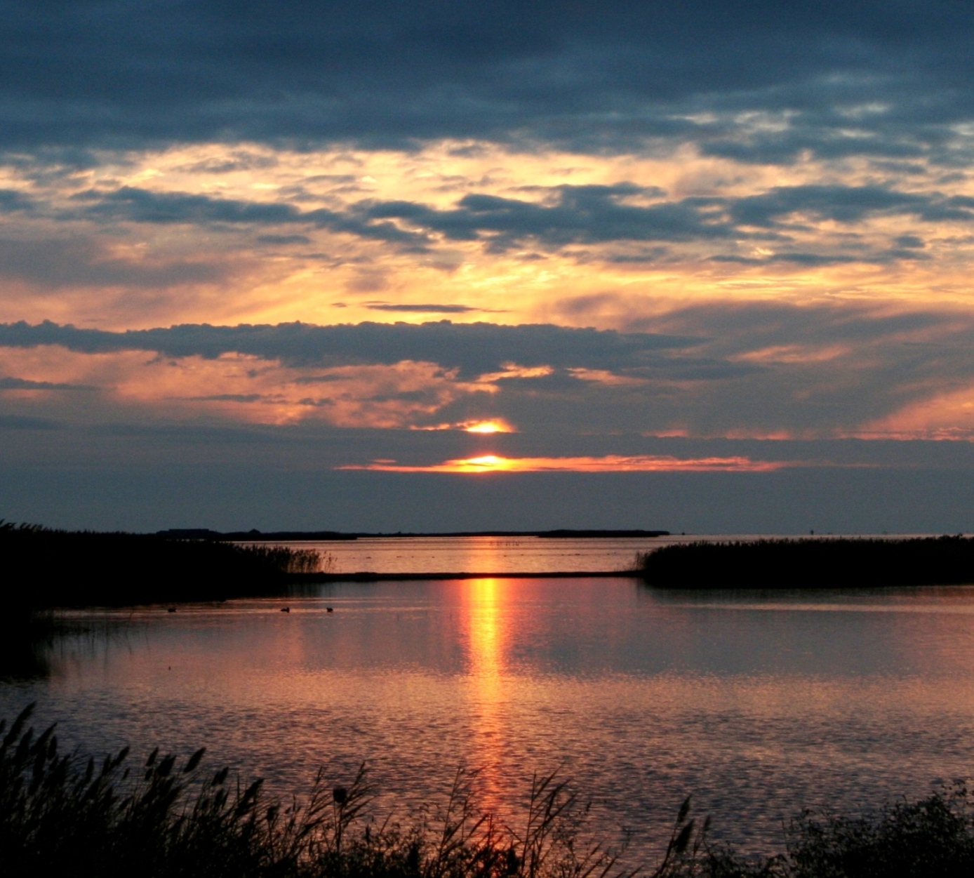 Рамсарская Конвенция − полвека международного сотрудничества во имя  сохранения биоразнообразия