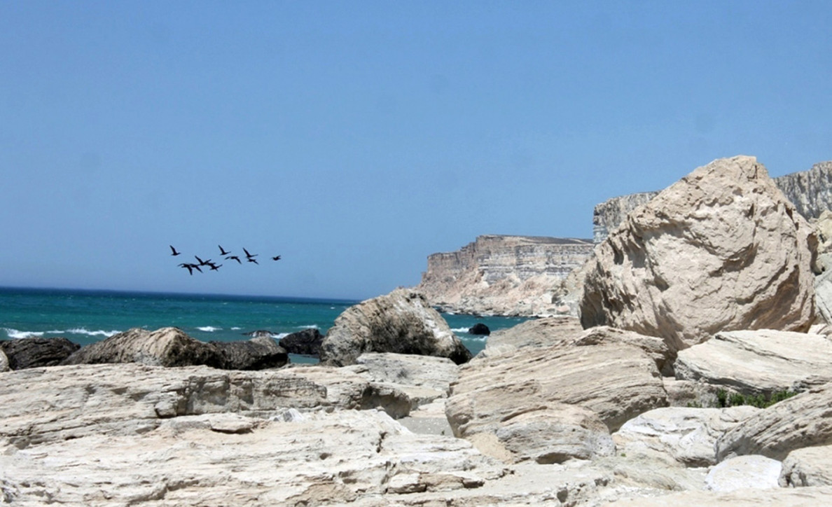 The Ramsar Convention – 50 years of international cooperation to preserve biodiversity