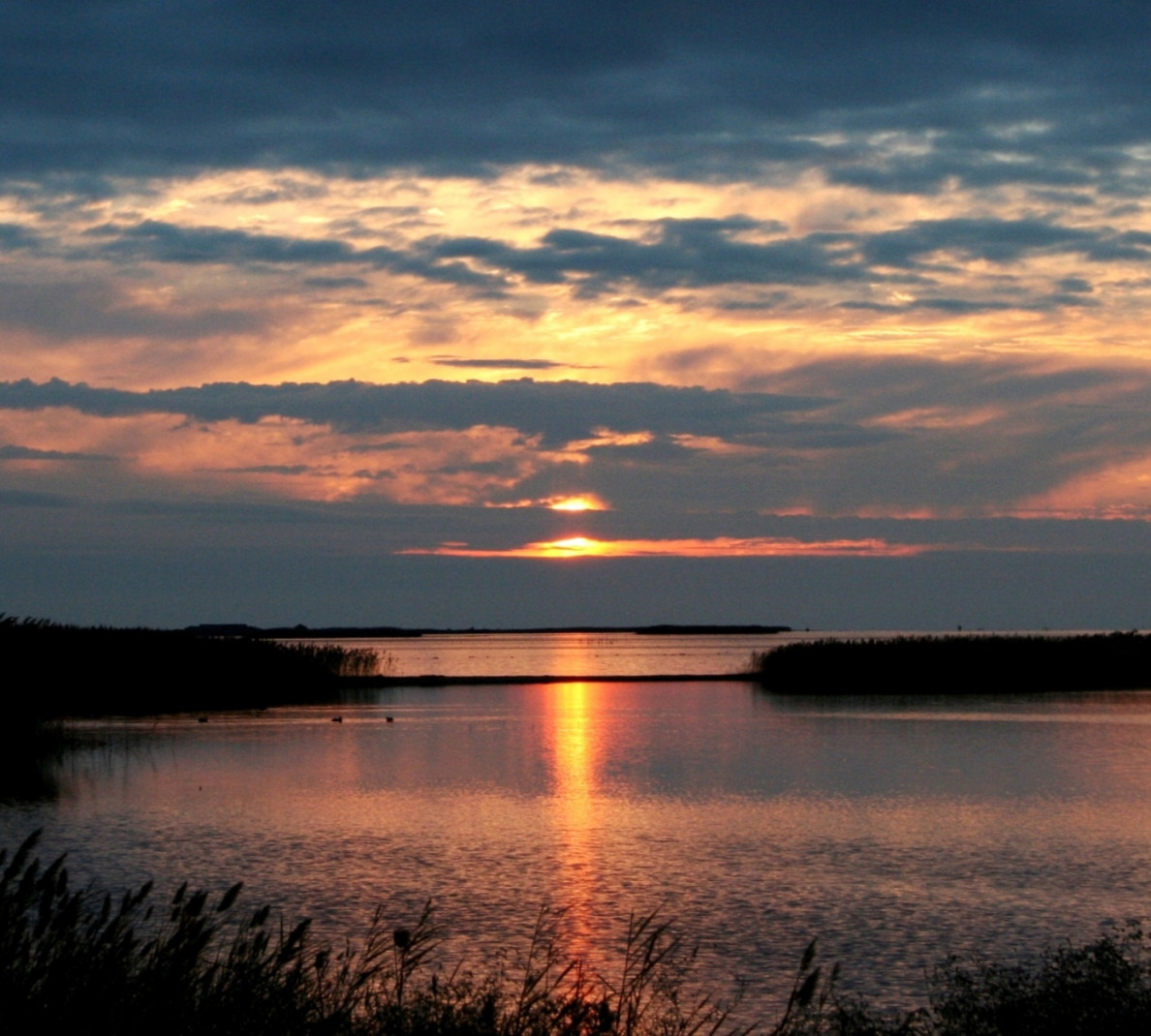 The Ramsar Convention – 50 years of international cooperation to preserve biodiversity