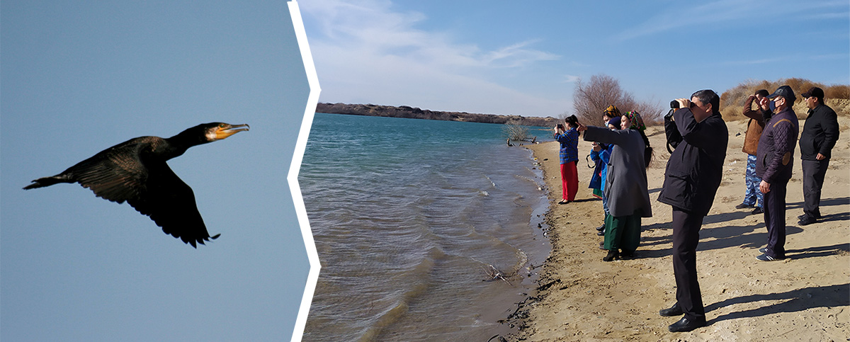 Эксперты провели учет пернатых