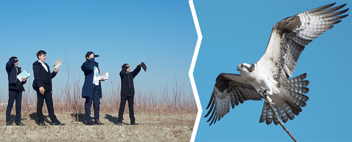 Эксперты провели учет пернатых