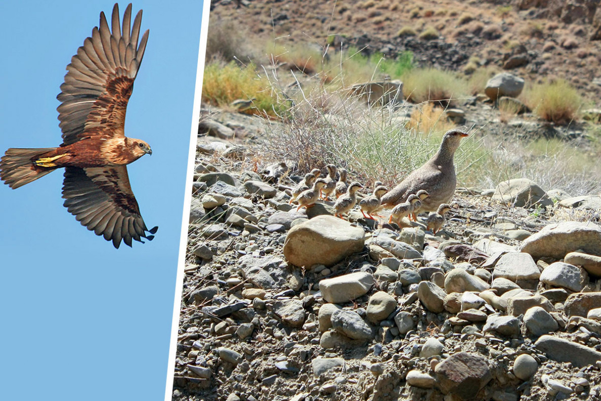 Preserving Biodiversity