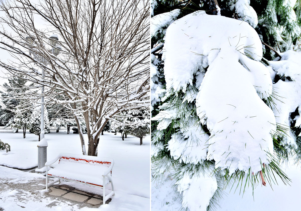Фоторепортаж: зимний каприз весны или морозная улыбка марта