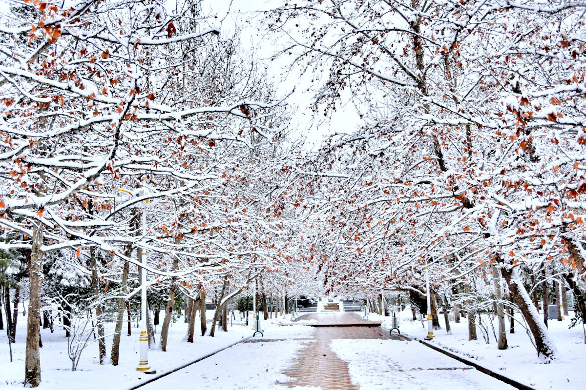 Фоторепортаж: зимний каприз весны или морозная улыбка марта