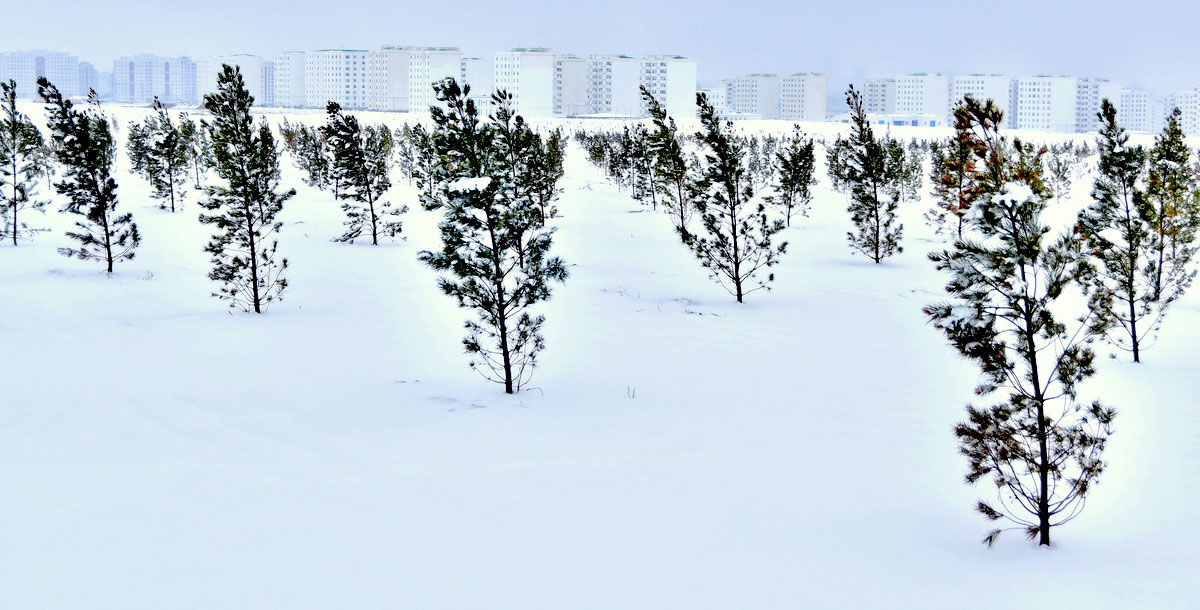 Фоторепортаж: зимний каприз весны или морозная улыбка марта