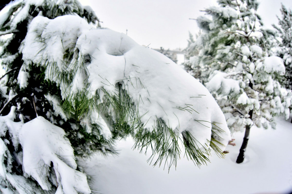 Фоторепортаж: зимний каприз весны или морозная улыбка марта