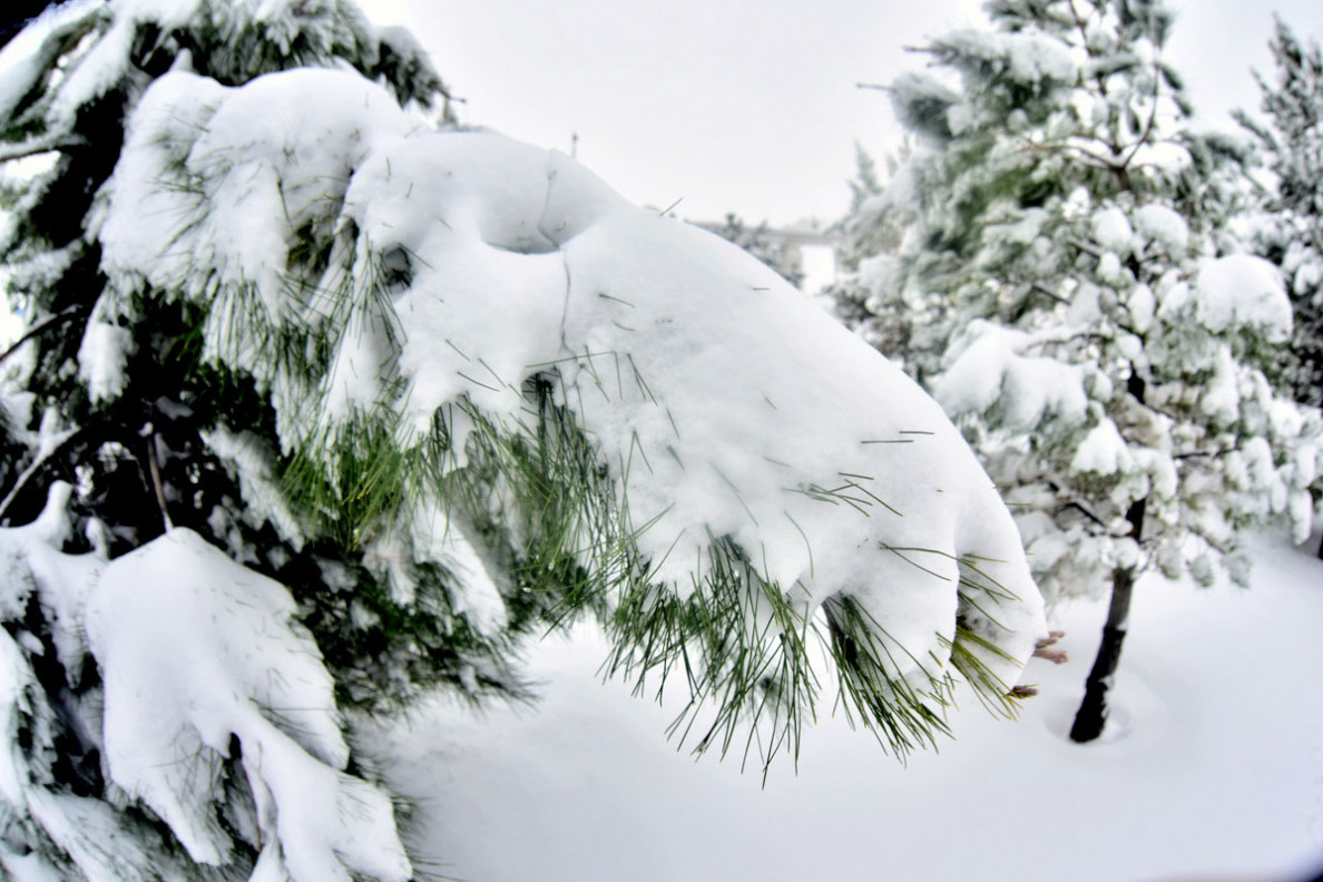 Fotoreportaž: baharyň gyş öwüşgini ýa-da martyň aýazly oýny
