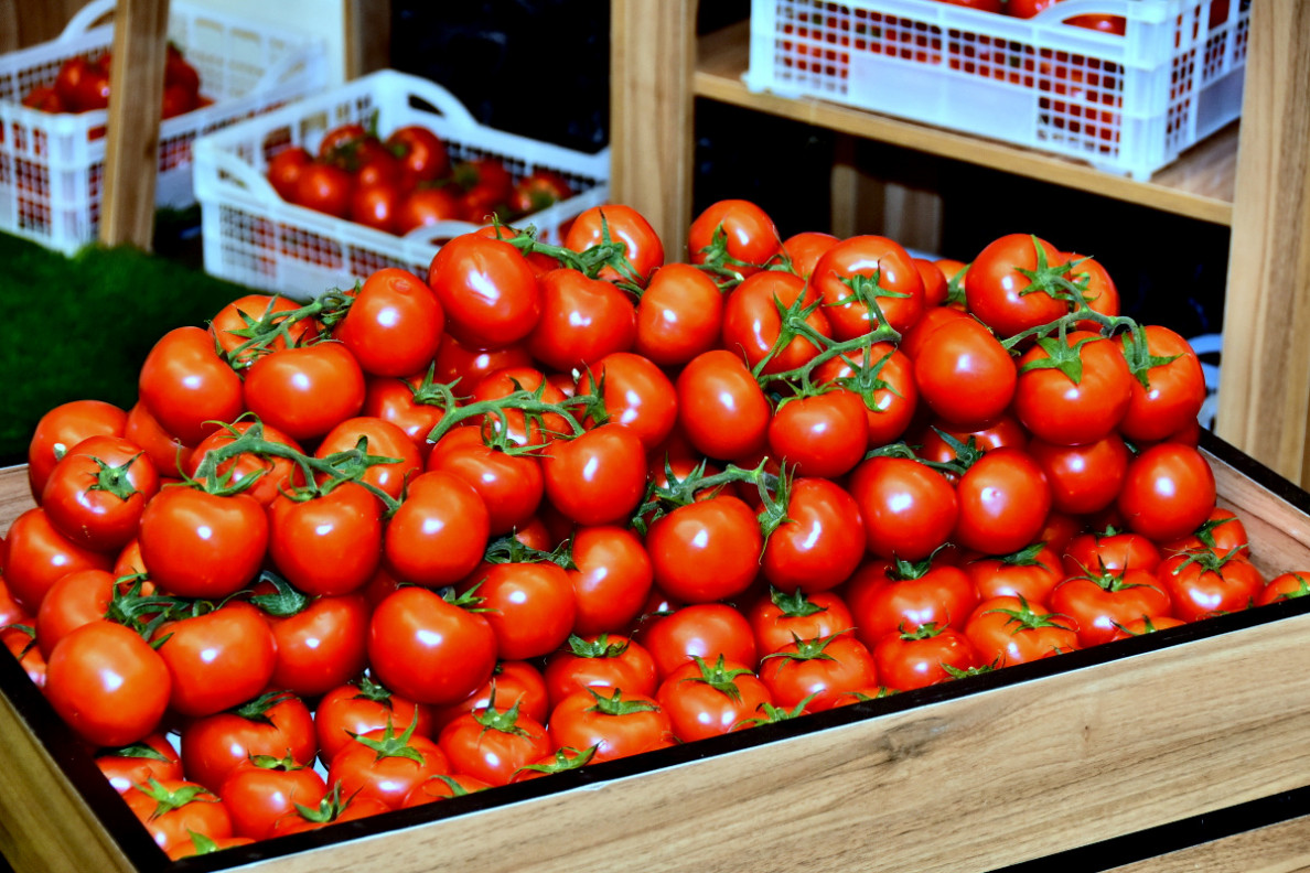 Exhibition and conference of the UIET: Achievements and potential of Turkmen business