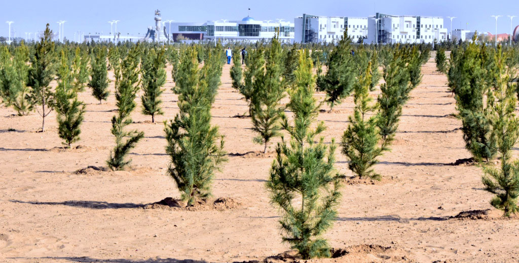 New park is formed up in the northern part of the capital
